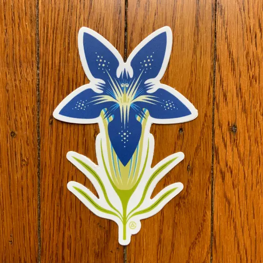 Pine Barrens Gentian 5" Sticker