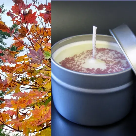 Fall Soy Wax Candles