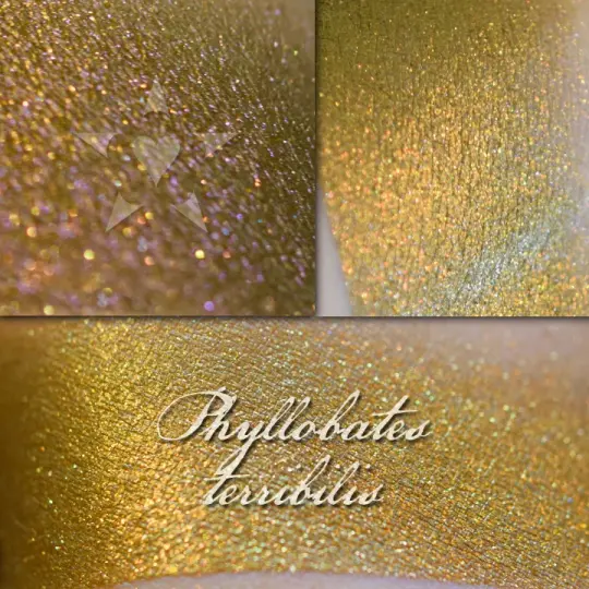 PHYLLOBATES - Vintage Aromaleigh Eyeshadow - CLEARANCE