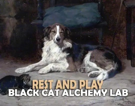 Rest and Play Perfume Oil