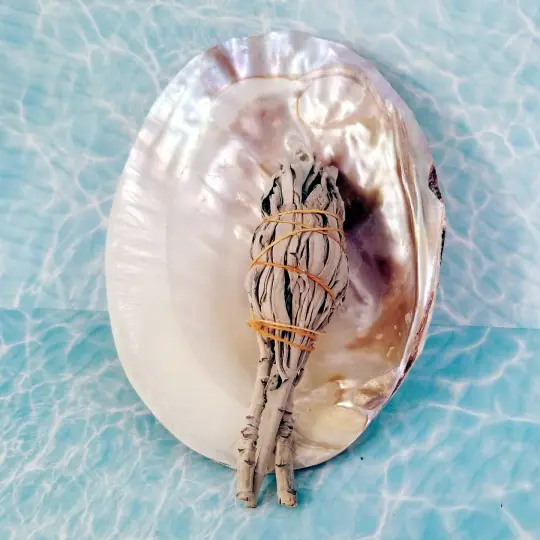 Abalone Shell with Sand and White Sage