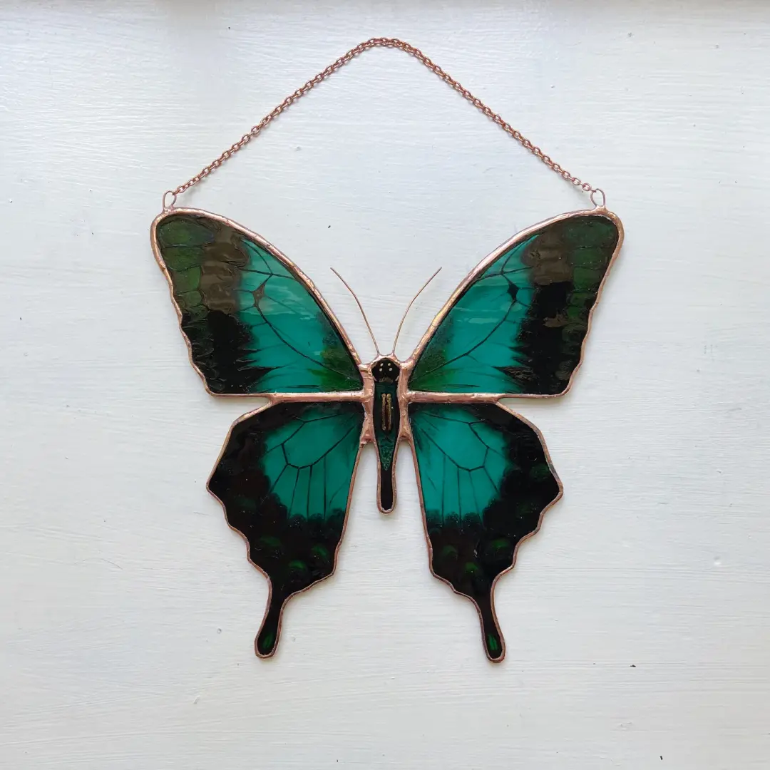Blue Green Swallowtail, Papilio lorquinianus