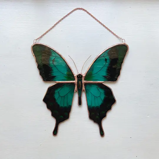 Blue Green Swallowtail, Papilio lorquinianus
