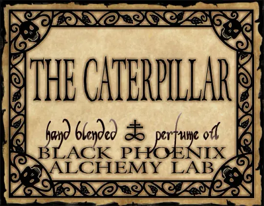 The Caterpillar Perfume Oil