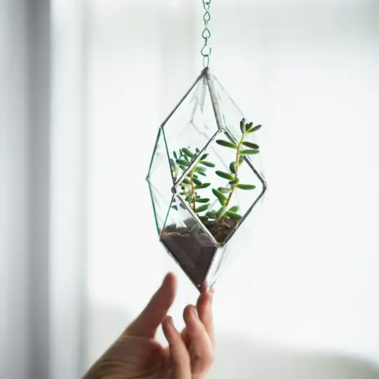 Iridis Prism Terrarium - small, medium, large