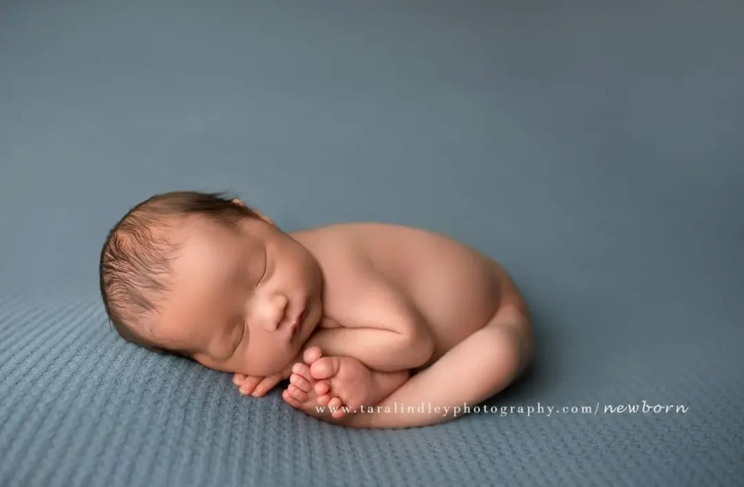 Spencer thick knit Beanbag Backdrop
