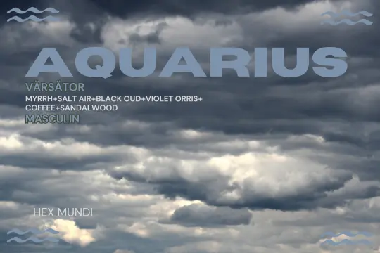 Aquarius Parfum - Masculin