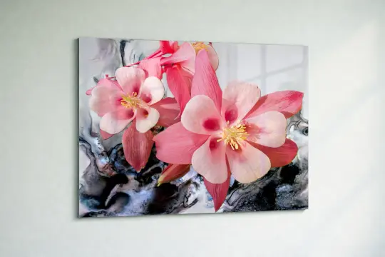 Pink Columbine Fantasy | Acrylic Glass Wall Art