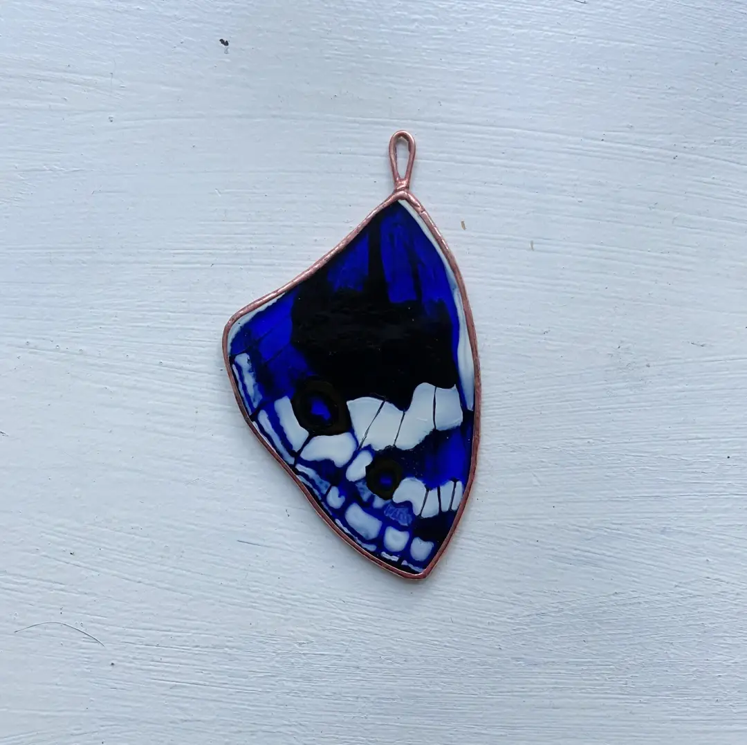 Blue Pansy Butterfly Wing