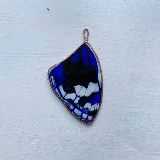 Blue Pansy Butterfly Wing