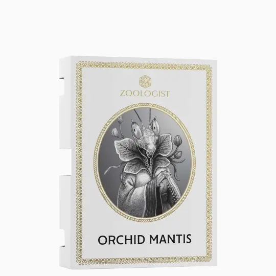 Zoologist Orchid Mantis Sample