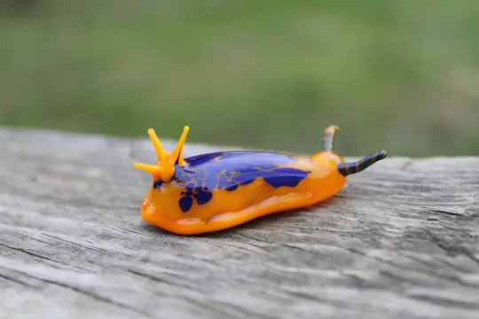 Vibrant Orange And Blue Glass Sea Slug Figurine 2 Inches
