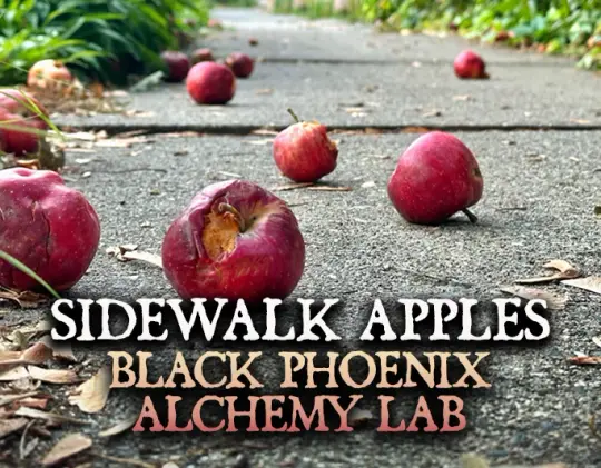 Sidewalk Apples Perfume Oil