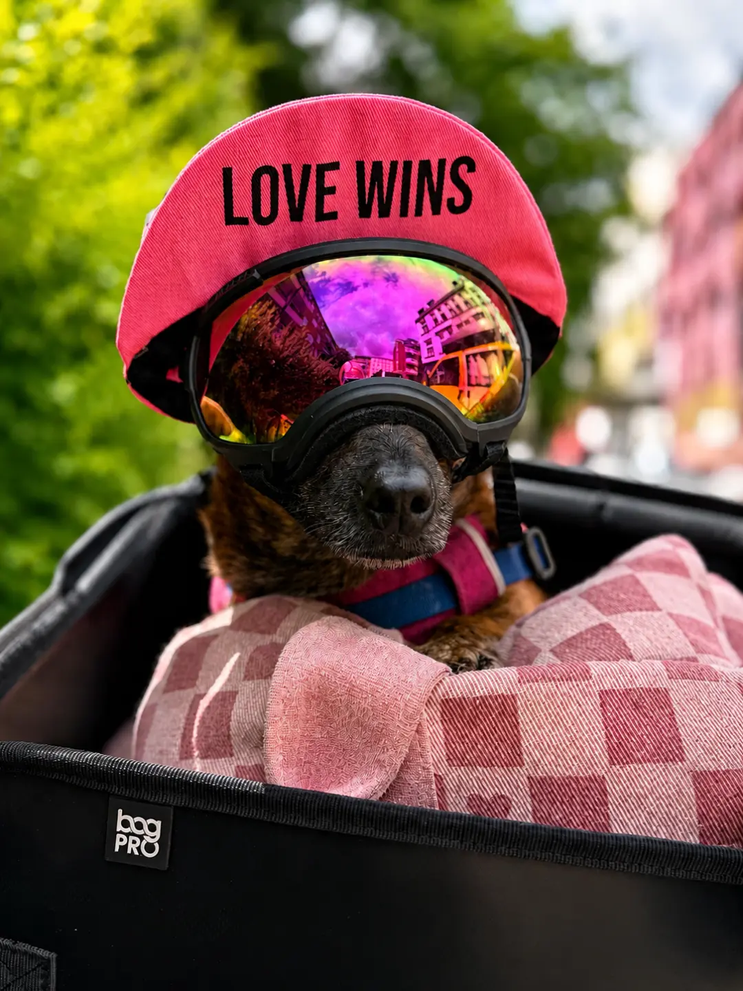 love wins Cycling Cap
