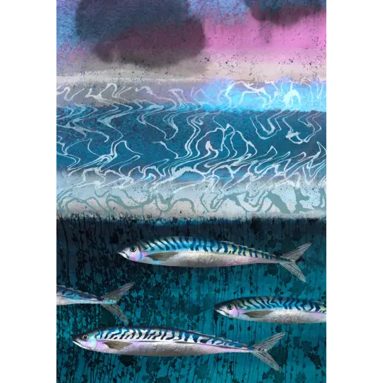 Magic Mackerel