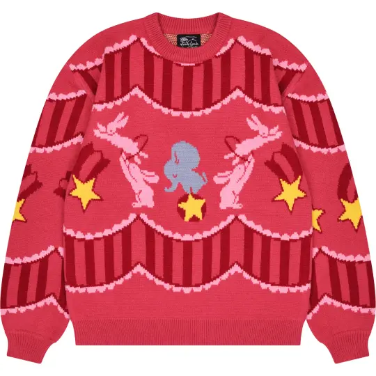 Bunny Circus Sweater