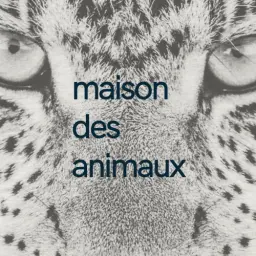 Maison des Animaux Fragrances logo