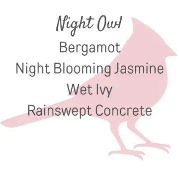 Night Owl