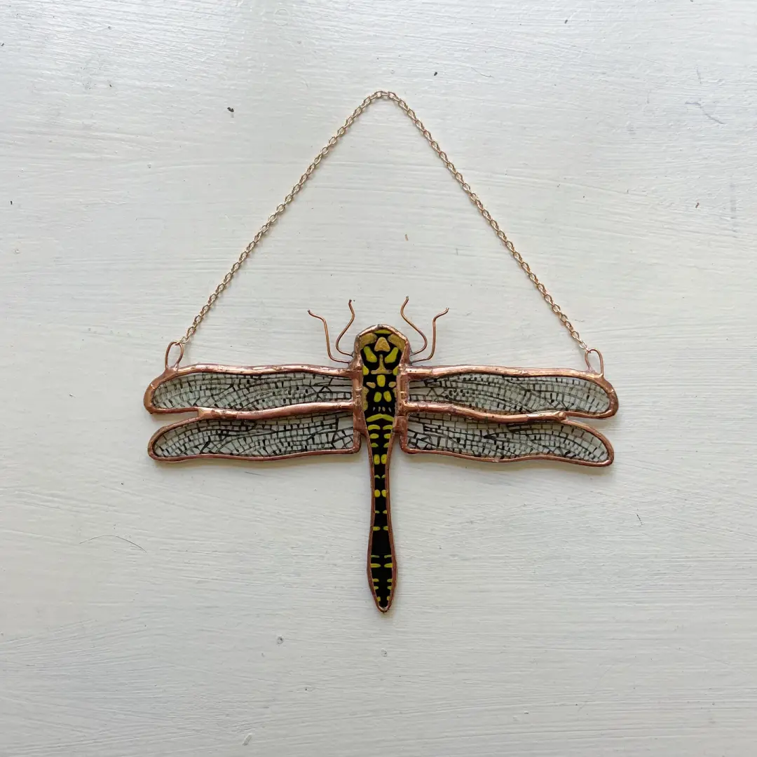 Golden-ringed Dragonfly