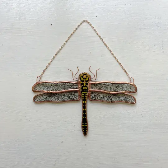 Golden-ringed Dragonfly