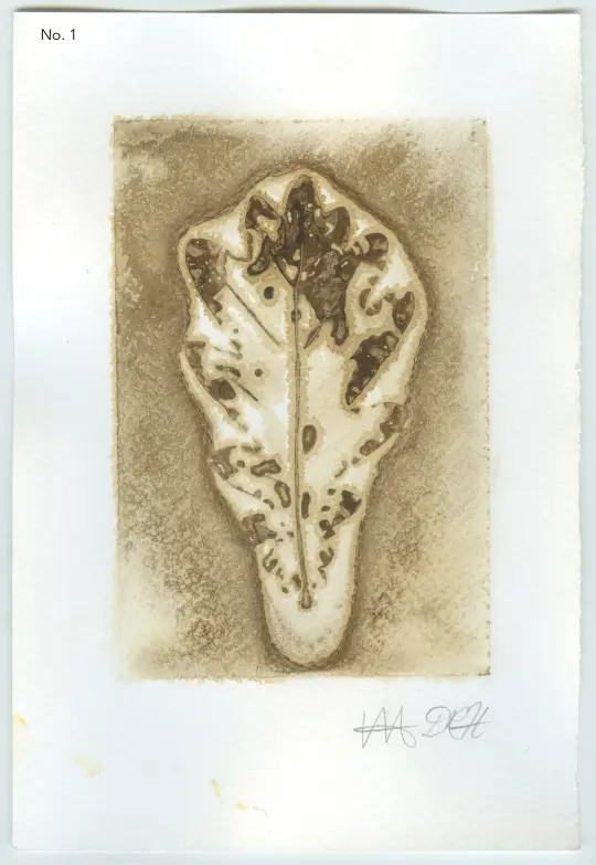 BEUYS' ACORNS Gall Ink Leaf Print (set 1) 2025
