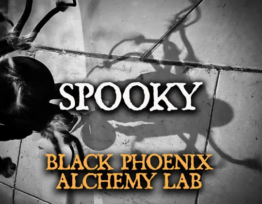 Spooky 2025 Perfume Oil