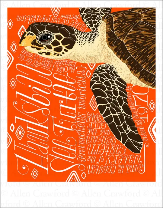 A Wild Promise: Hawksbill Turtle