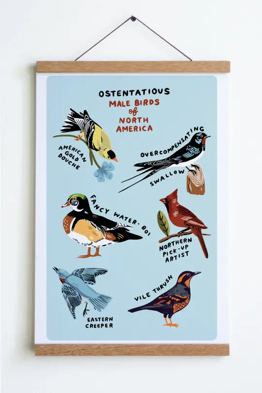 Male Birds Print
