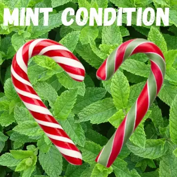 Mint Condition