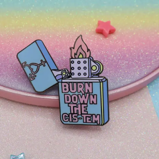 Burn Down The Cis-tem Enamel Pin