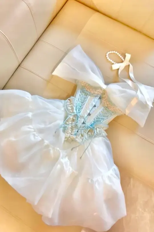 Charming White Homecoming Dress ,A-Line Bateau Organza Corset Short Prom Dress RS995