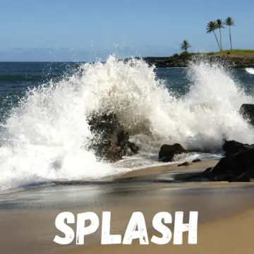Splash