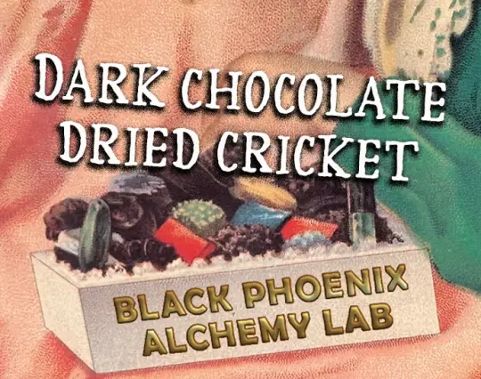 Dark Chocolate Dried Cricket Perfume Oil