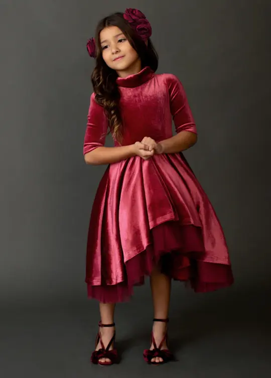 Audrah Petticoat Dress in Barberry