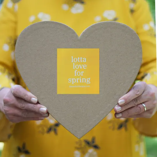 Heart-Shaped Mystery Boxes :: Spring Flowers