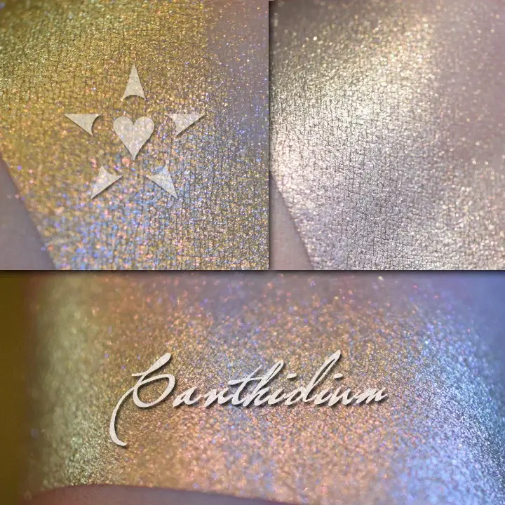 CANTHIDIUM - Vintage Aromaleigh Eyeshadow - CLEARANCE