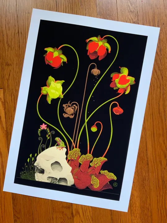 Pine Barrens Memento Mori