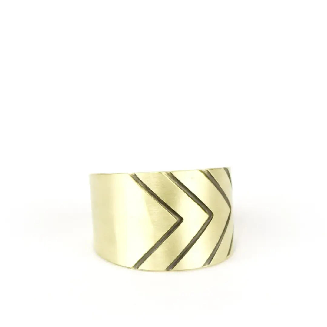 Recast Redundant Chevron ring