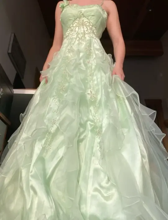 Silky Pleated Applique Corset Prom Gown , Soft Green Women's Maxi Birthday Dress RS2515