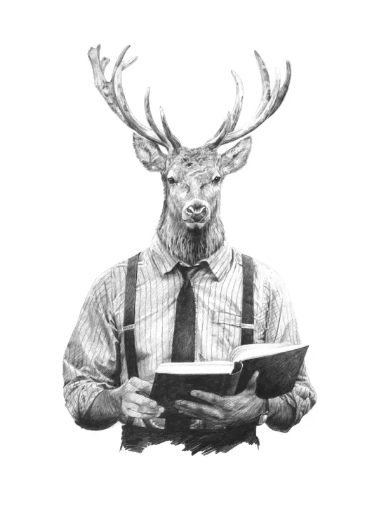 Deer