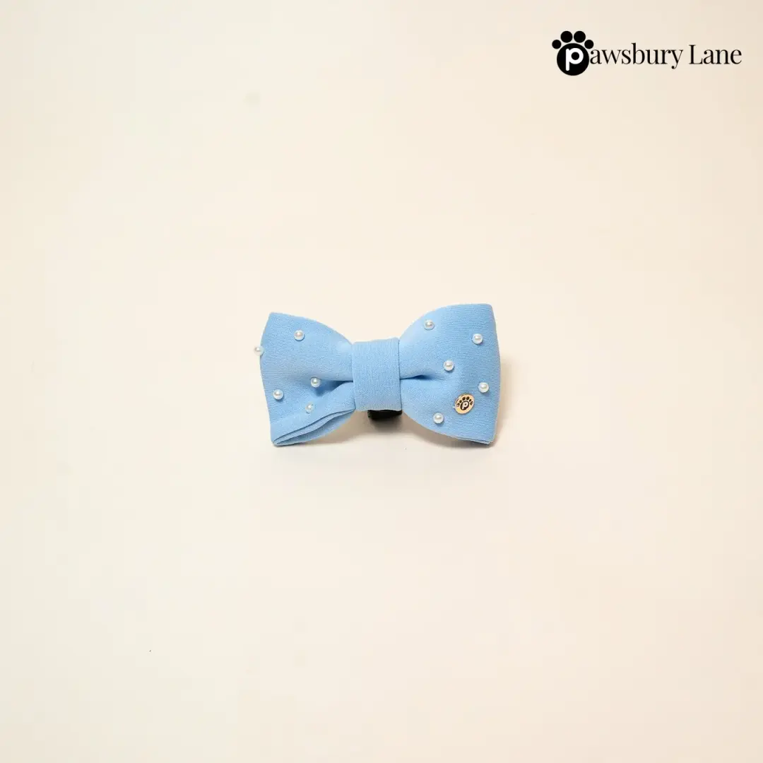 Sugar and Pearls - Cornflower - Pet Bow Tie