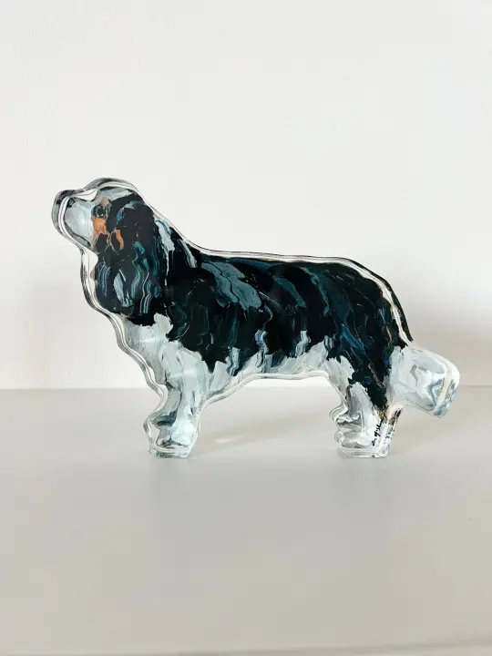 Tri-Color Cavalier King Charles Dog Acrylic