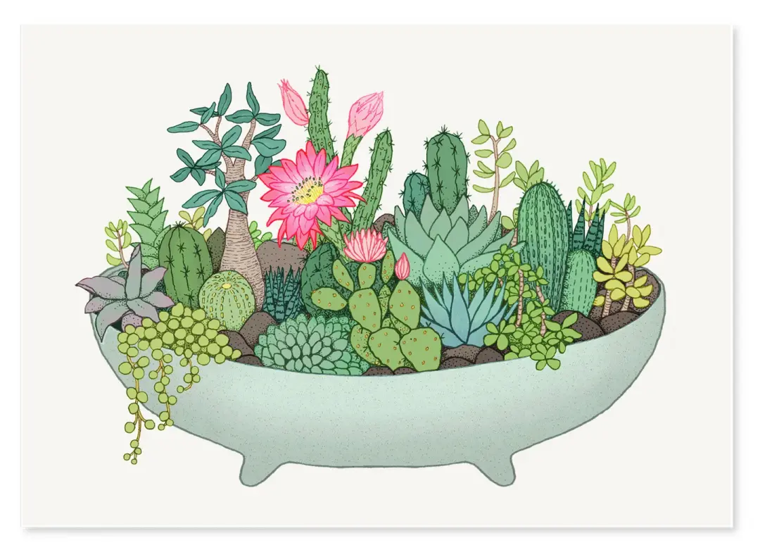 'Summer Cactus Pot' Limited Edition Art Print
