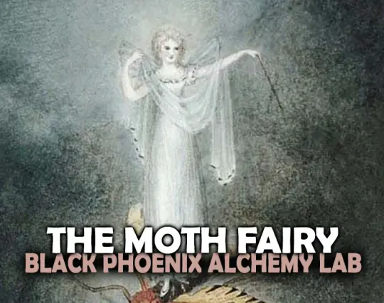 The Moth Fairy Perfume Oil