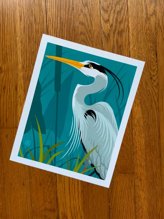 Great Blue Heron 8x10 Print