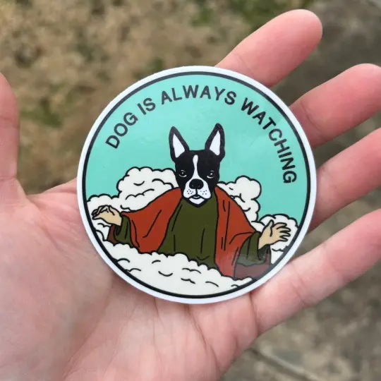 Dog is always watching sticker. Boston terrier sticker.