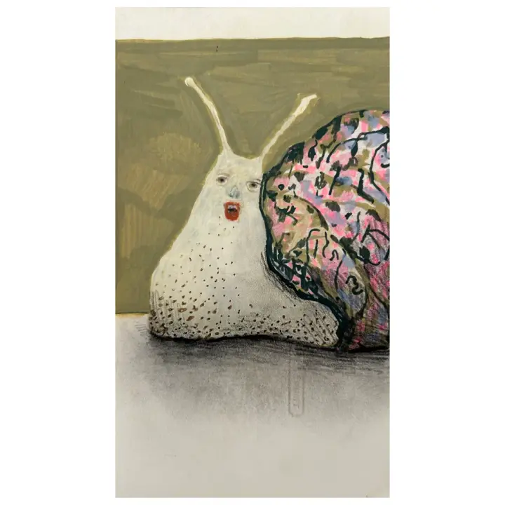 snail (2)