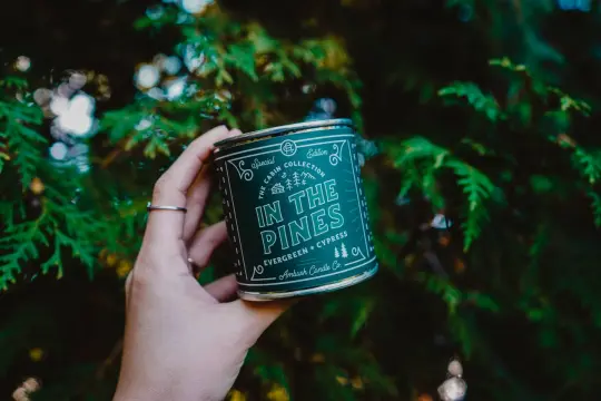 Ambush Candle Co. - In The Pines | Evergreen + Cypress 8oz Soy Candle