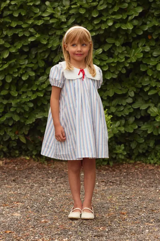 Mini Emery Dress in Heritage Stripe
