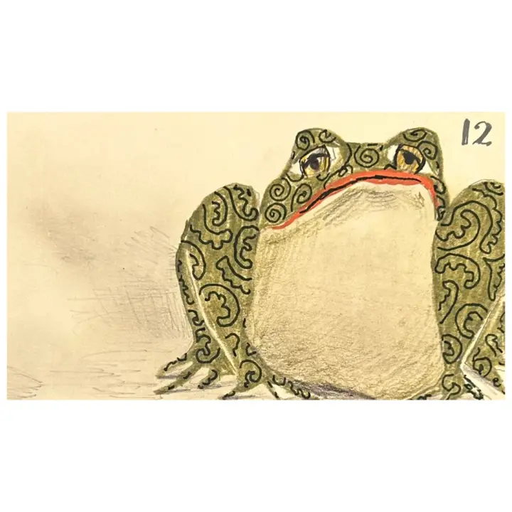 12. ( frog)